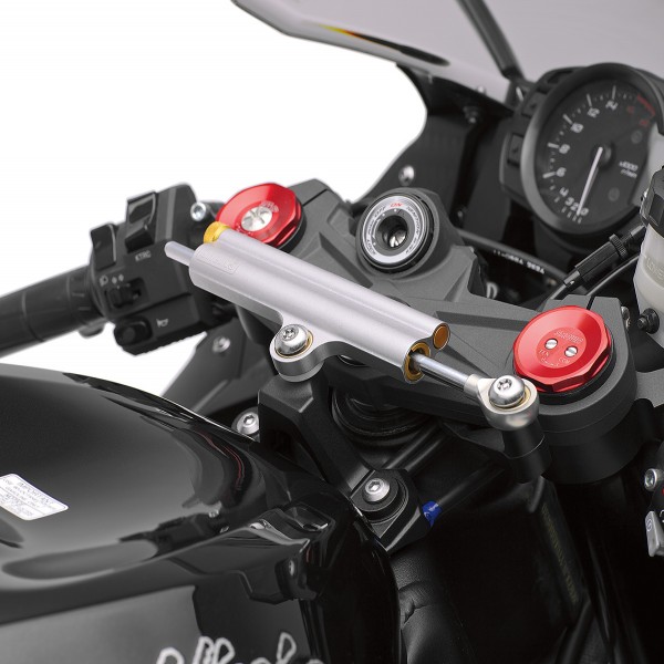 Kawasaki ?hlins steering damper kit